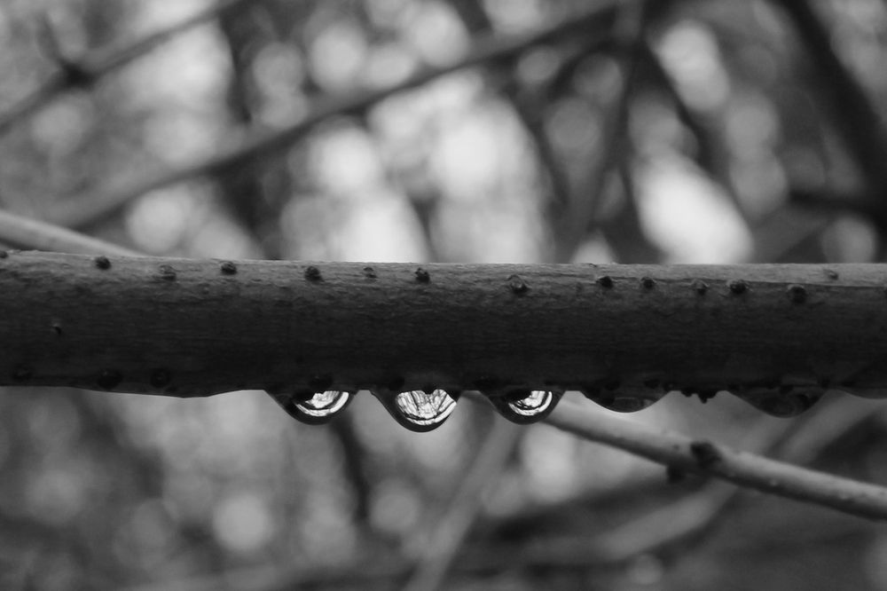 Photograph by Екатерина Иванова