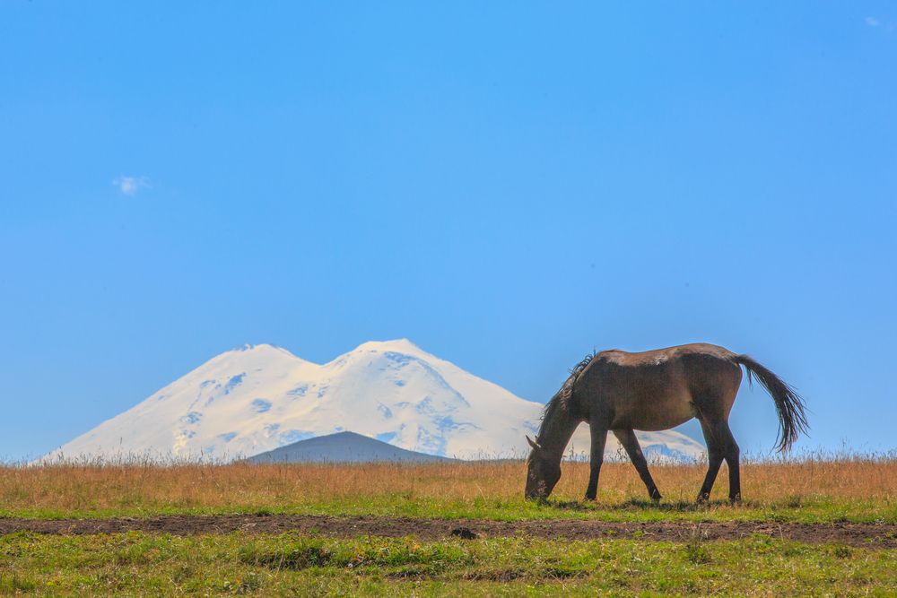 Photograph by Литвинов Александр