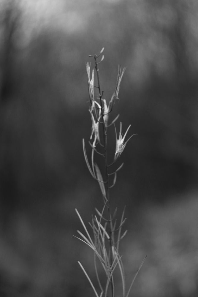Photograph by Екатерина Иванова