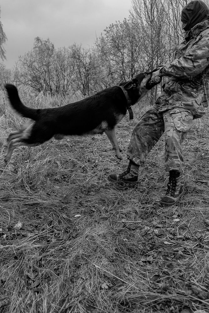 Photograph by Надежда Соболевская