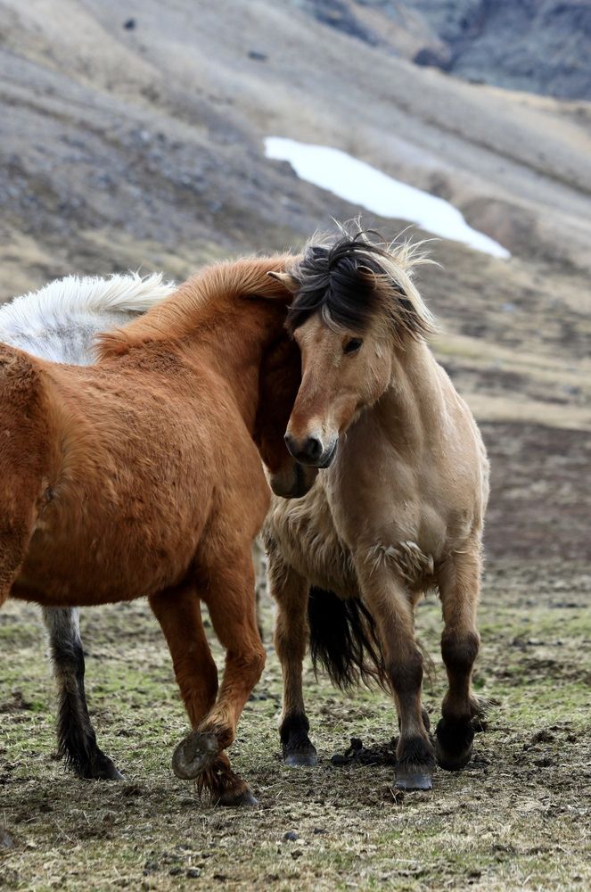 Фотография автора Голубков Леонид