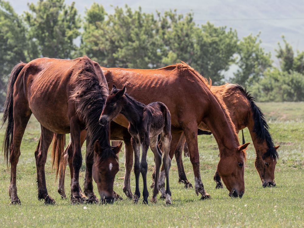 Photograph by Ольга Крицак