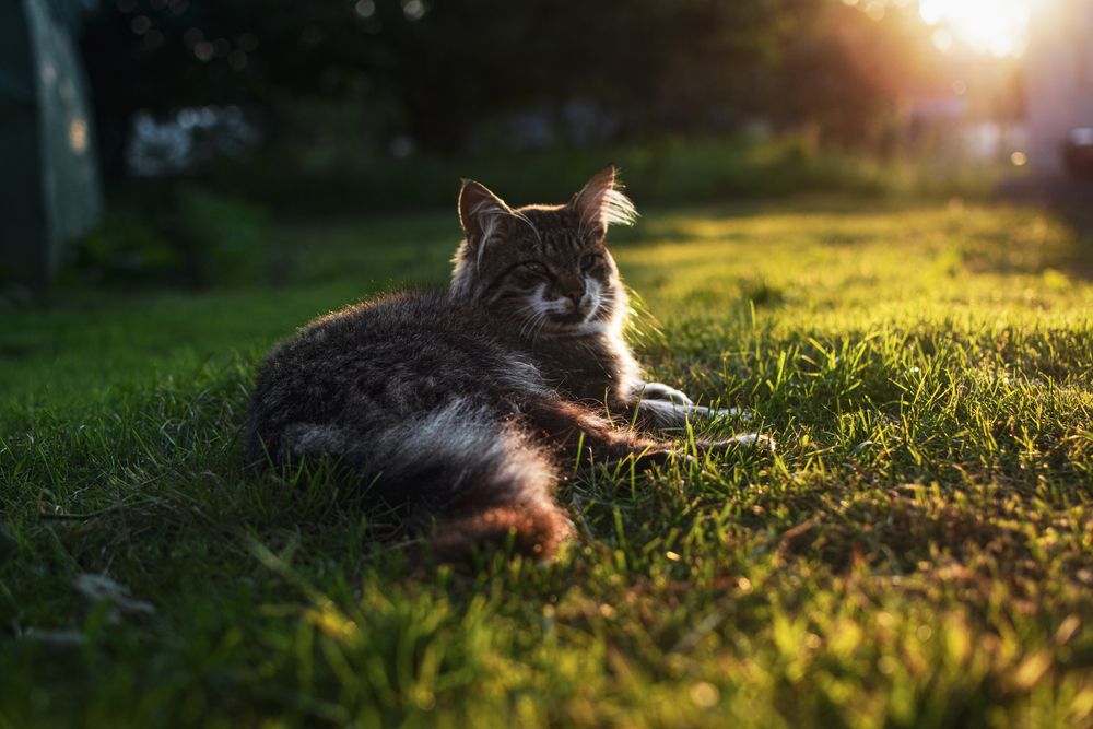 Photograph by Евгений Адуцкевич