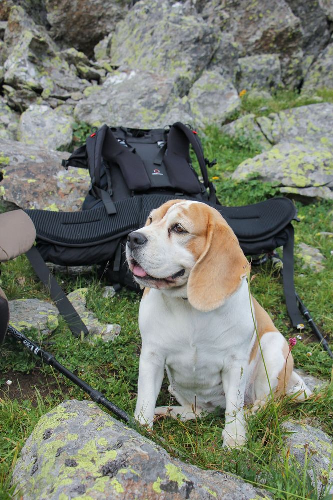 Photograph by Екатерина Ермоленко