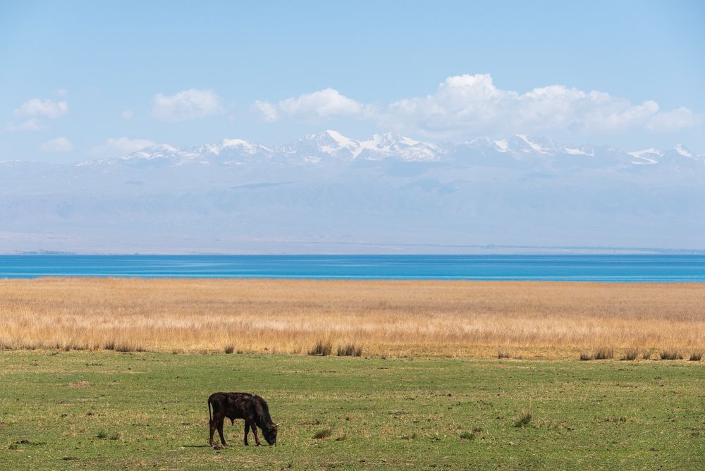 Photograph by Ольга Крицак