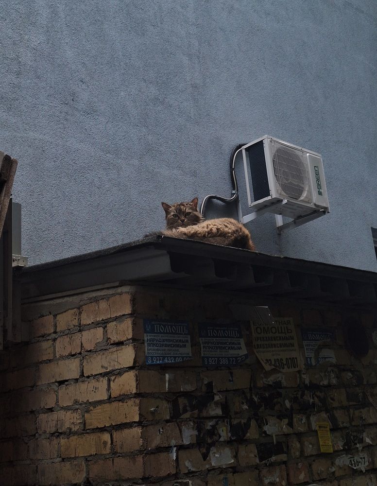 Photograph by Арина Арчакова