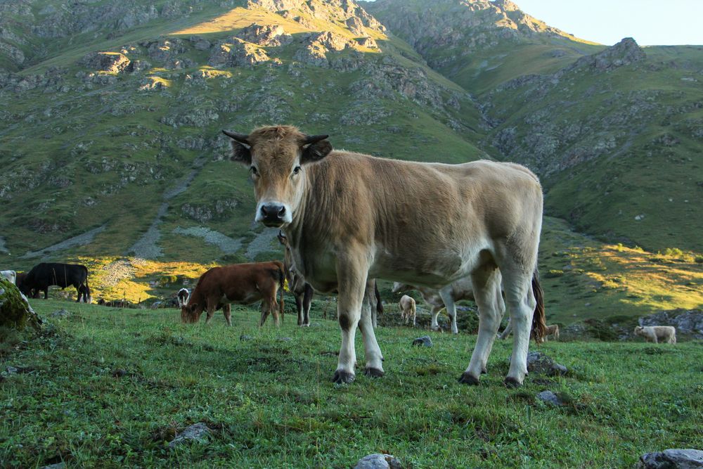 Photograph by Екатерина Ермоленко