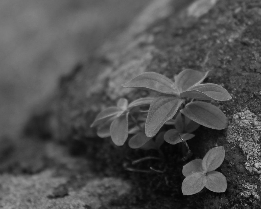 Photograph by Екатерина Иванова