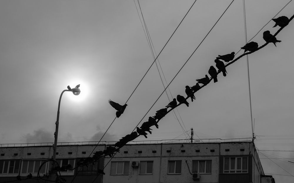 Photograph by Надежда