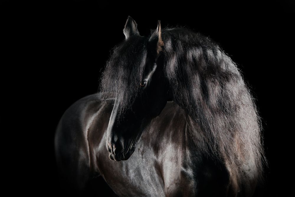 Photograph by Daria Koksharova