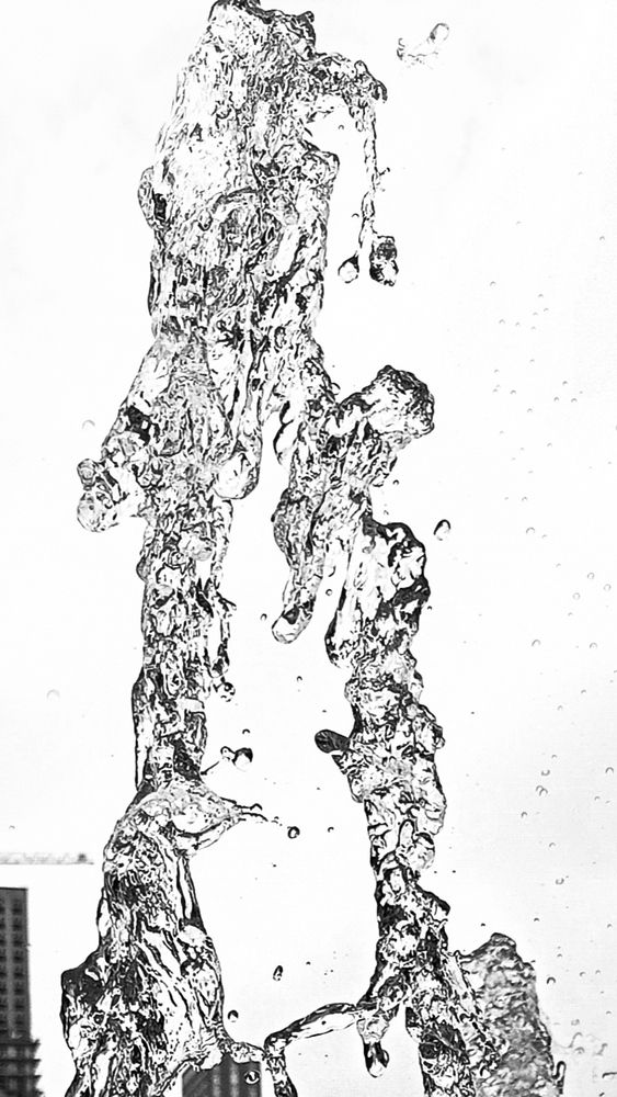 Photo #12806443