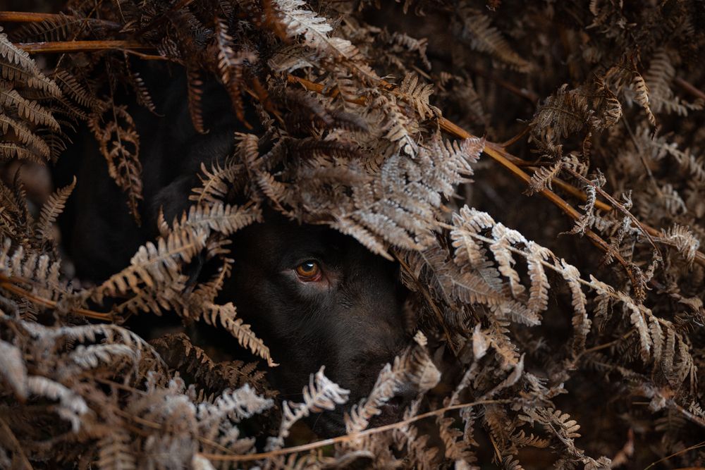 Photograph by Maria Antich