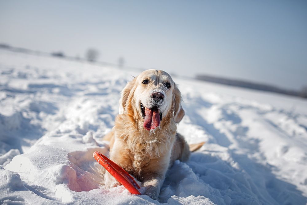 Photograph by Александр Перегоненко