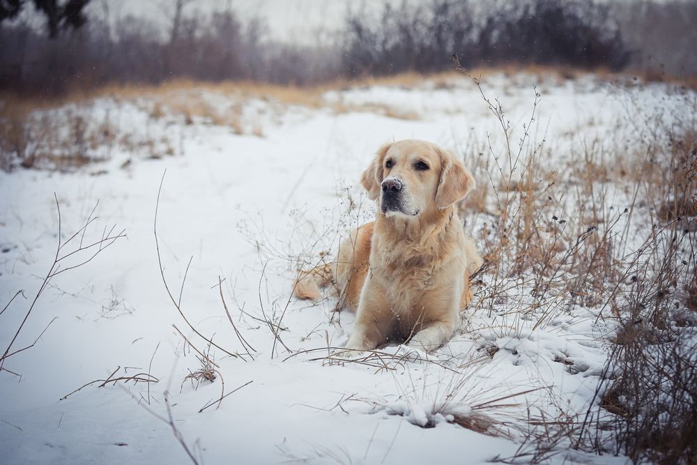 Photograph by Александр Перегоненко