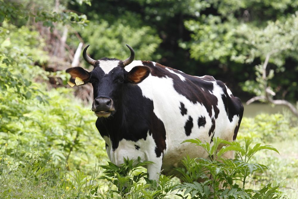 Photograph by Александр Перегоненко