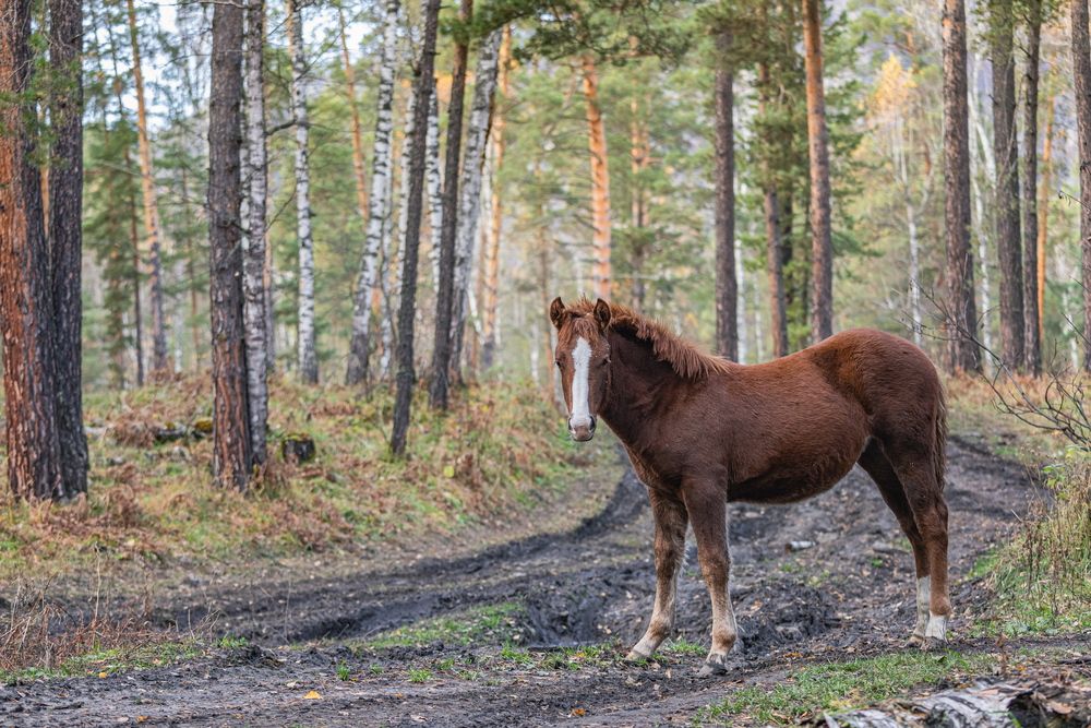 Photograph by Александр Перегоненко