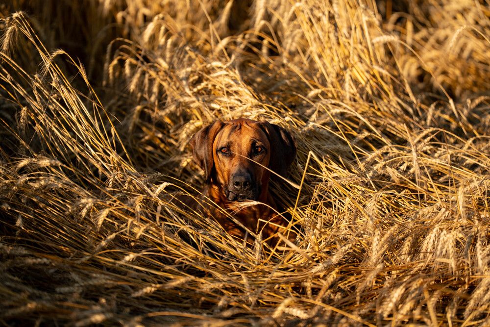 Photograph by Наталья Авдонина