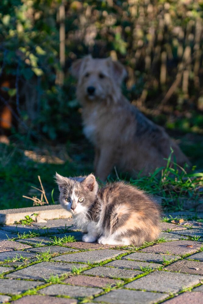 Photograph by Наталья Вялых