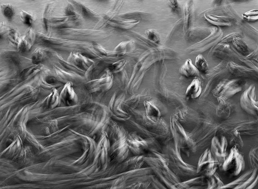 Photograph by Наталья Сережко