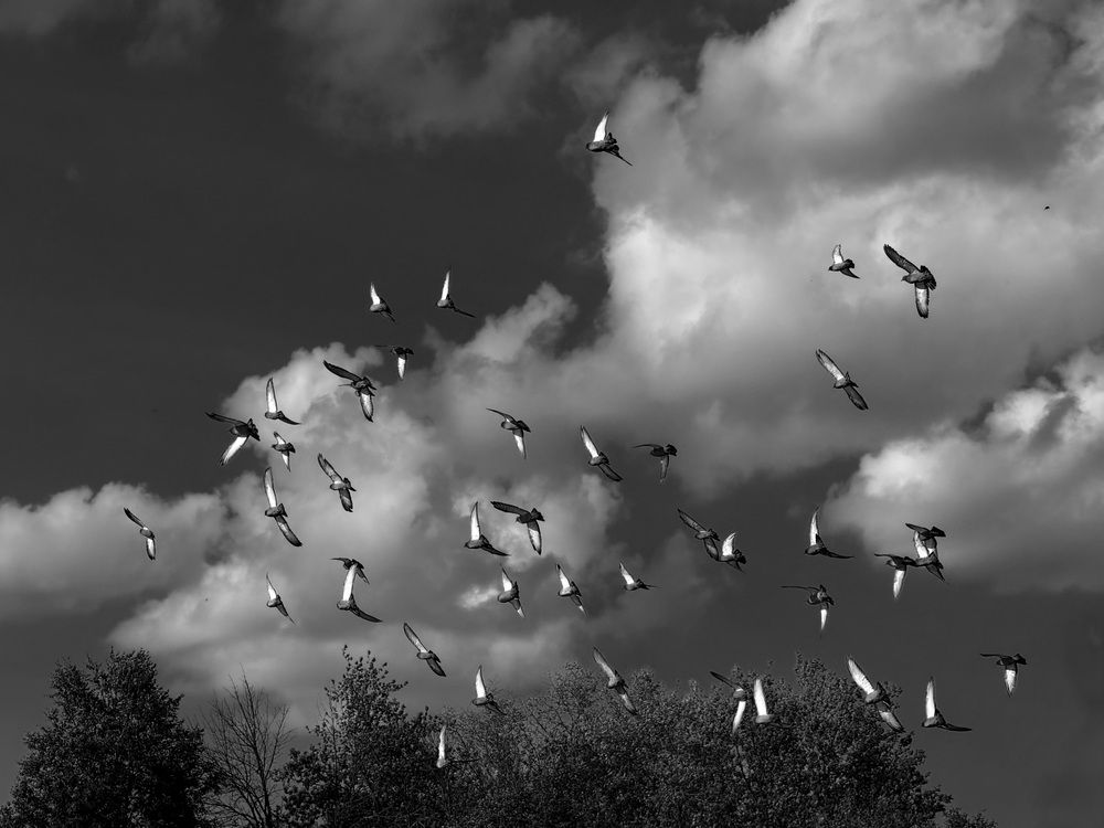 Photograph by Наталья Сережко