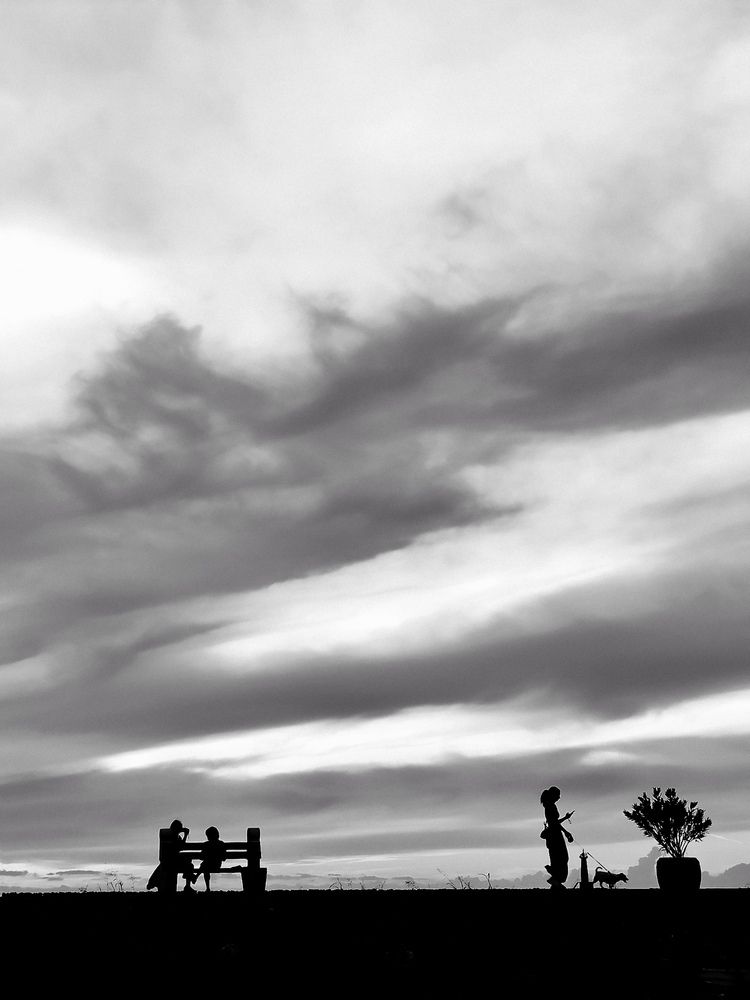 Фотография автора JELENA VASIC