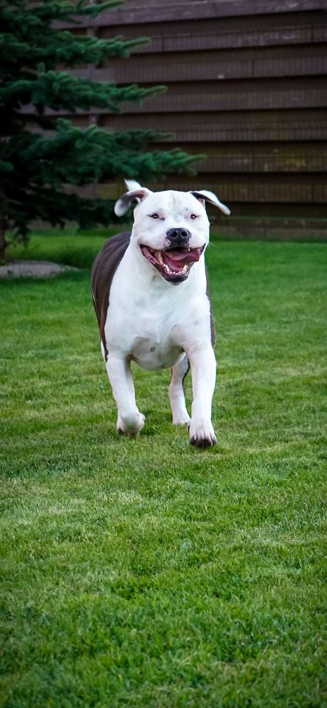 Photograph by Екатерина Андрусенко