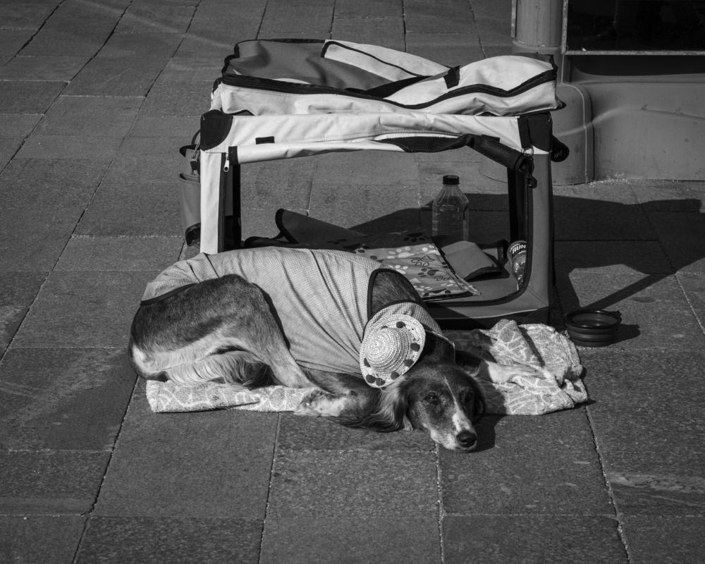 Photograph by Елена Беланенко