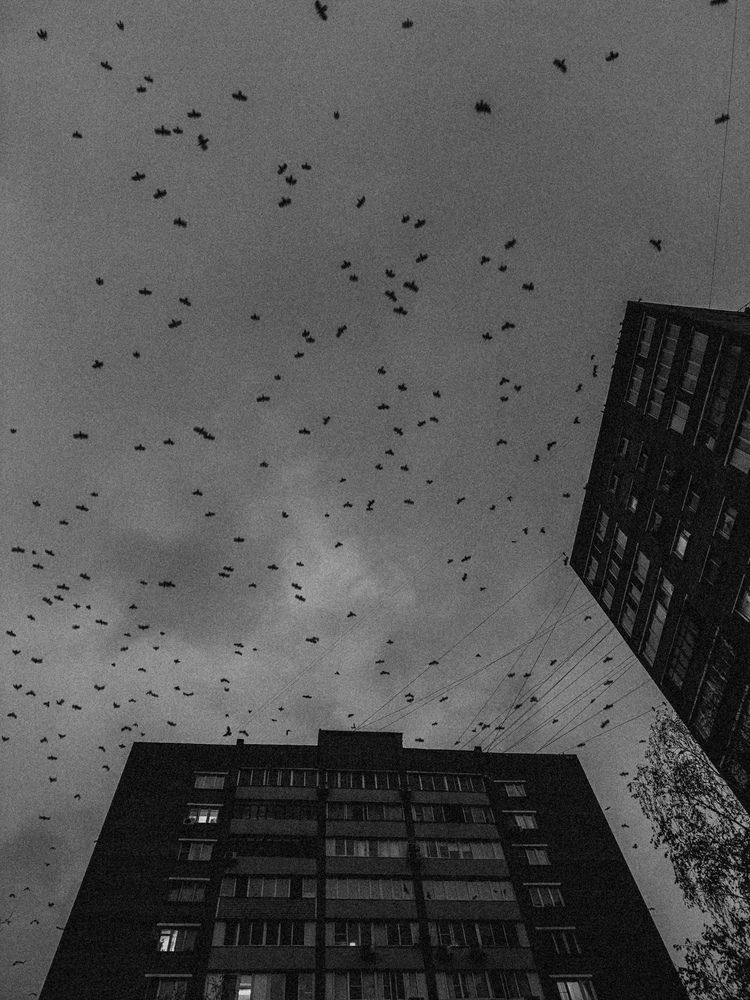 Фотография автора Марина Рябуха