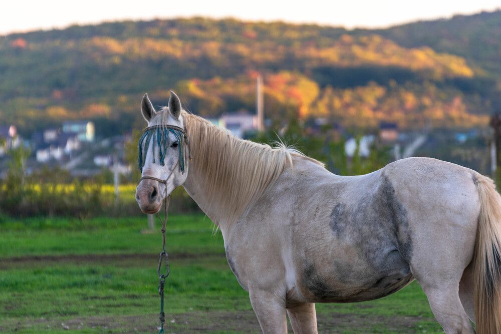 Photograph by Наталья Вялых