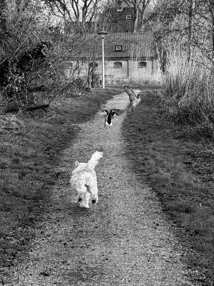 Photograph by Лидия Готовец