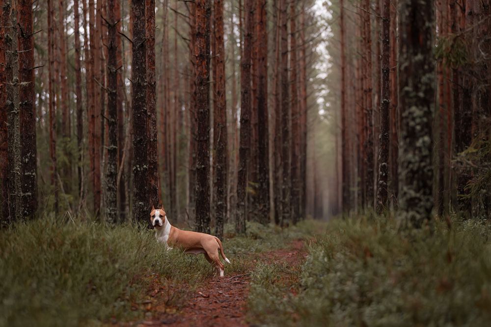 Photograph by Юлия Чайкина