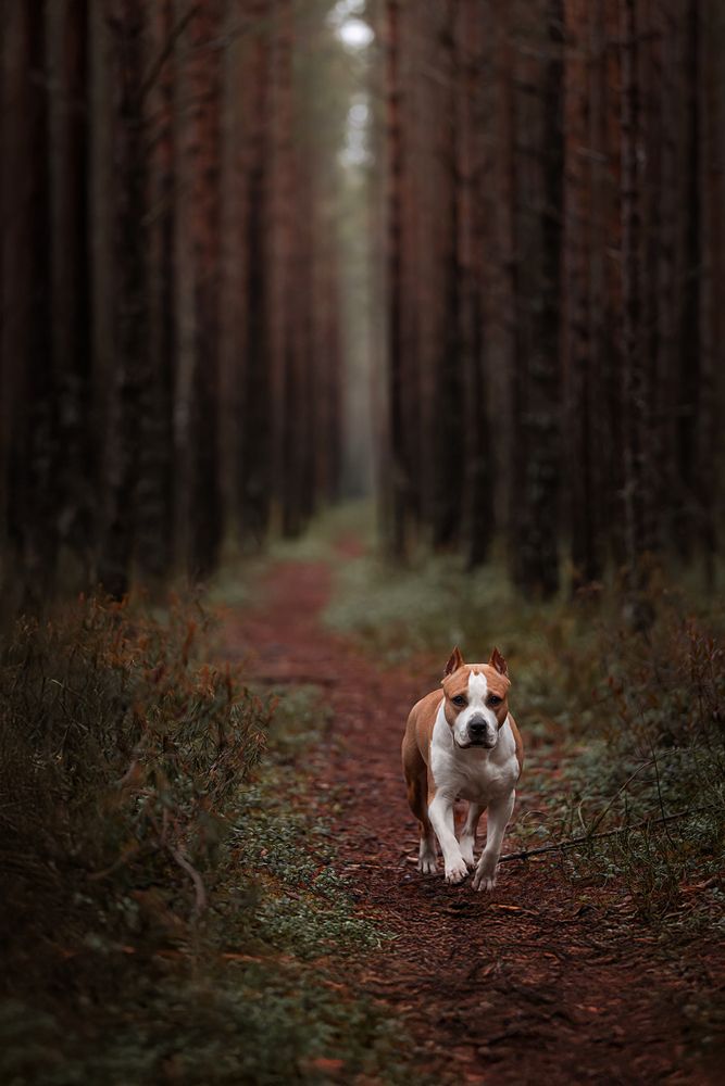 Photograph by Юлия Чайкина