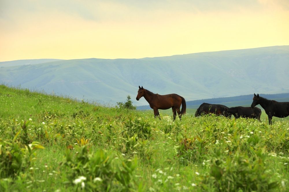 Фотография автора Голубков Леонид