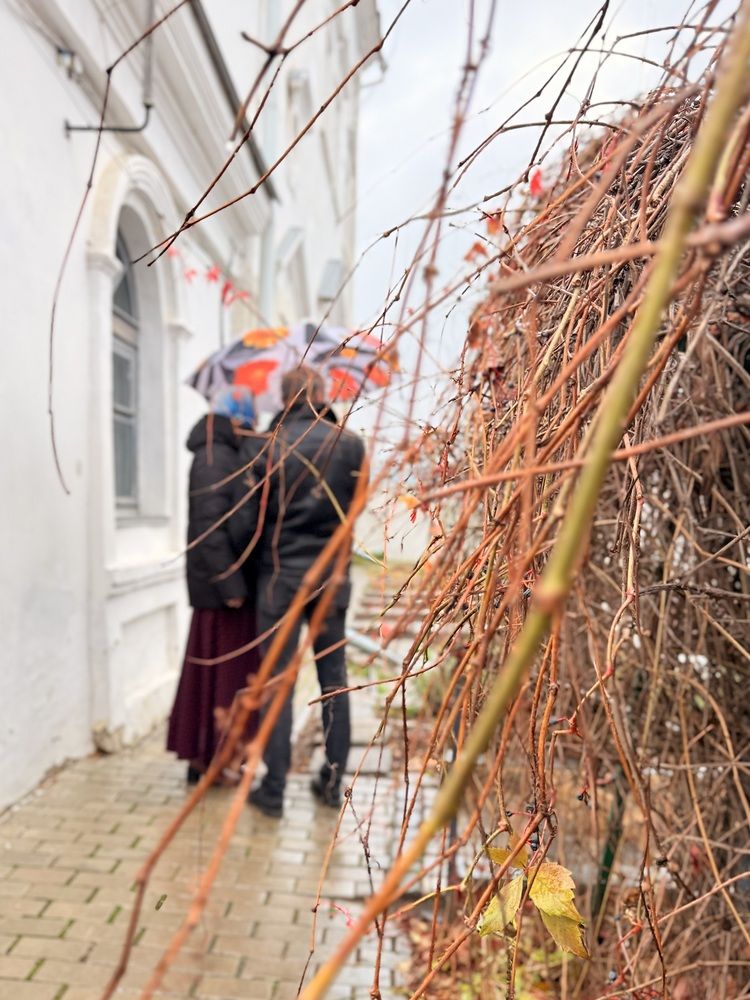 Photograph by Наталья Сережко