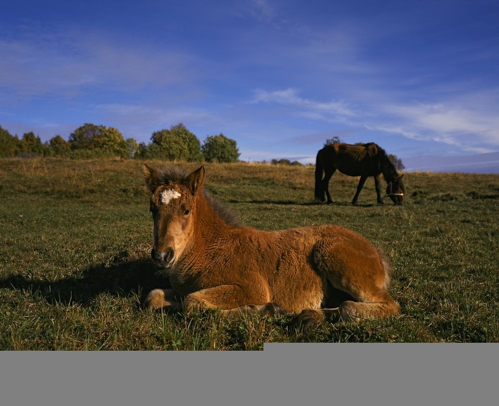 Фотография автора Дьяченко Игорь