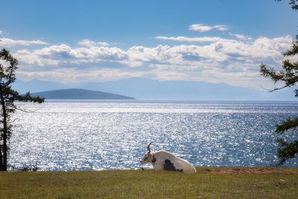 Photograph by Галина Юдина