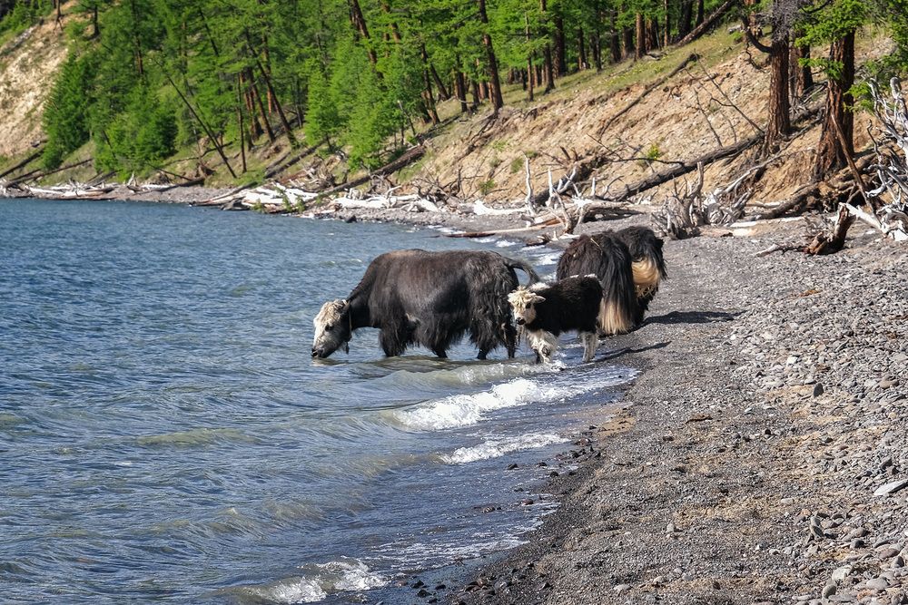 Photograph by Галина Юдина