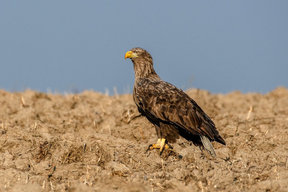 Photograph by Константин Тучин