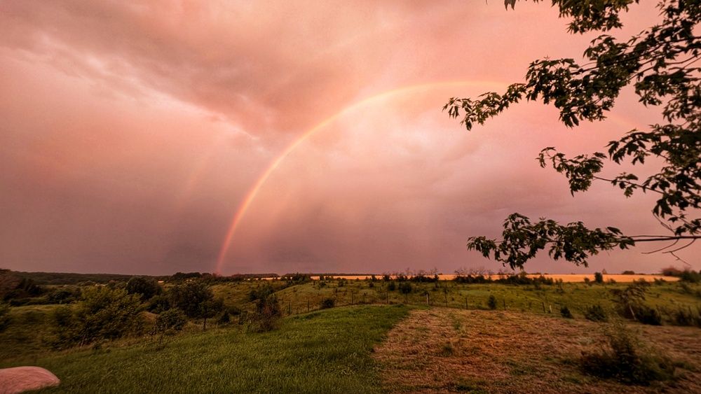 Photograph by Любовь Колмакова