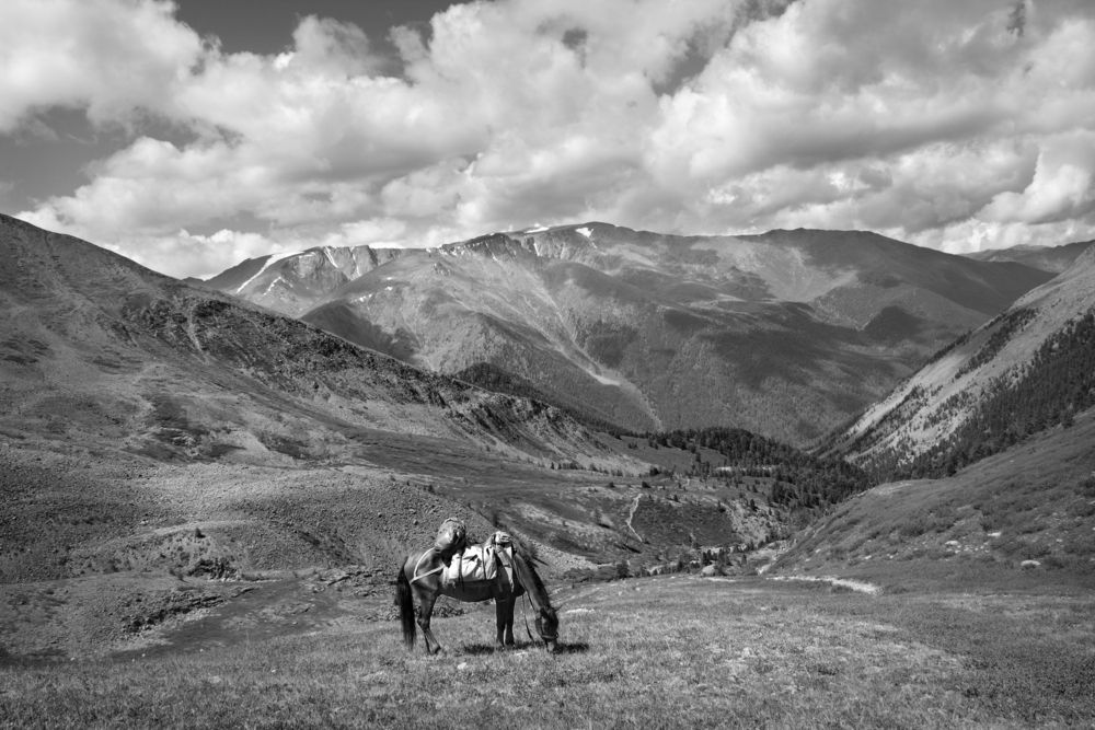 Фотография автора Кухта Мария