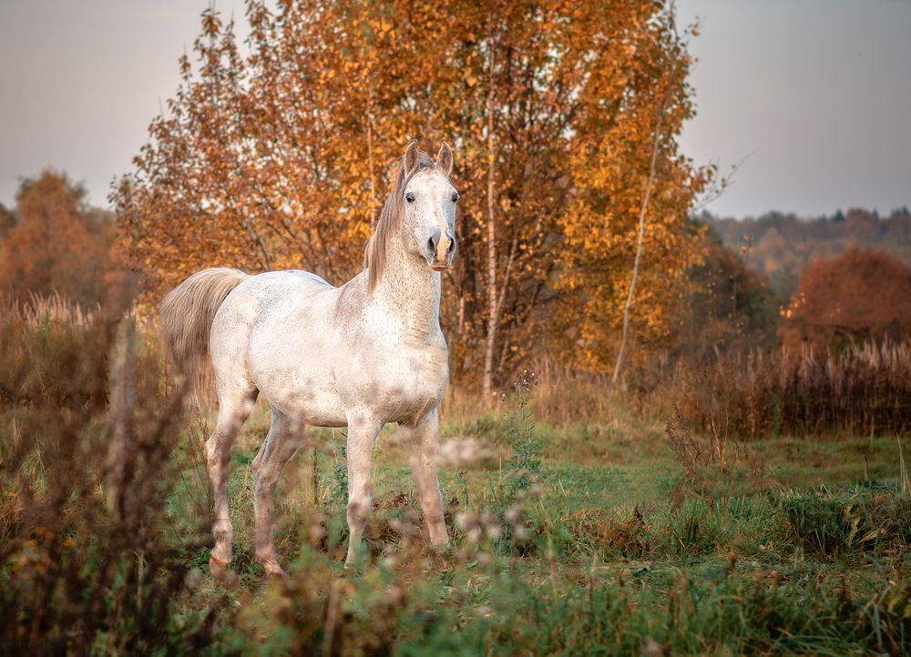 Photograph by Екатерина Лебедева