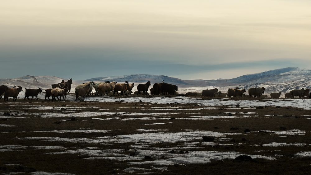 Photograph by Ирина Секачева