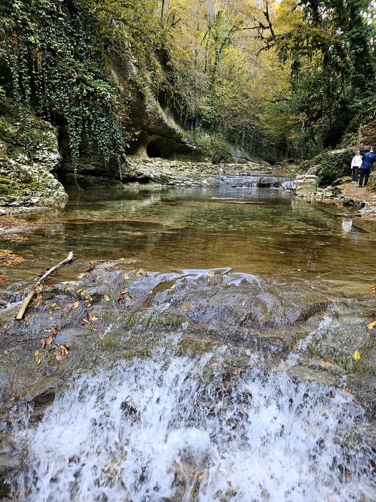 Фотография автора Tatiana Shirenko