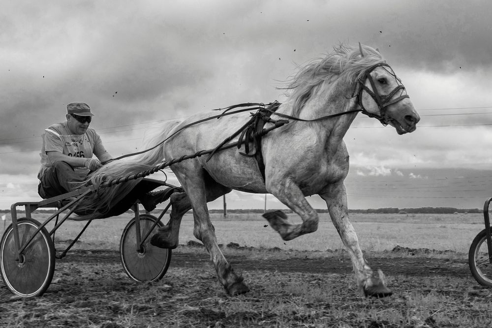 Photograph by Александра Токарева