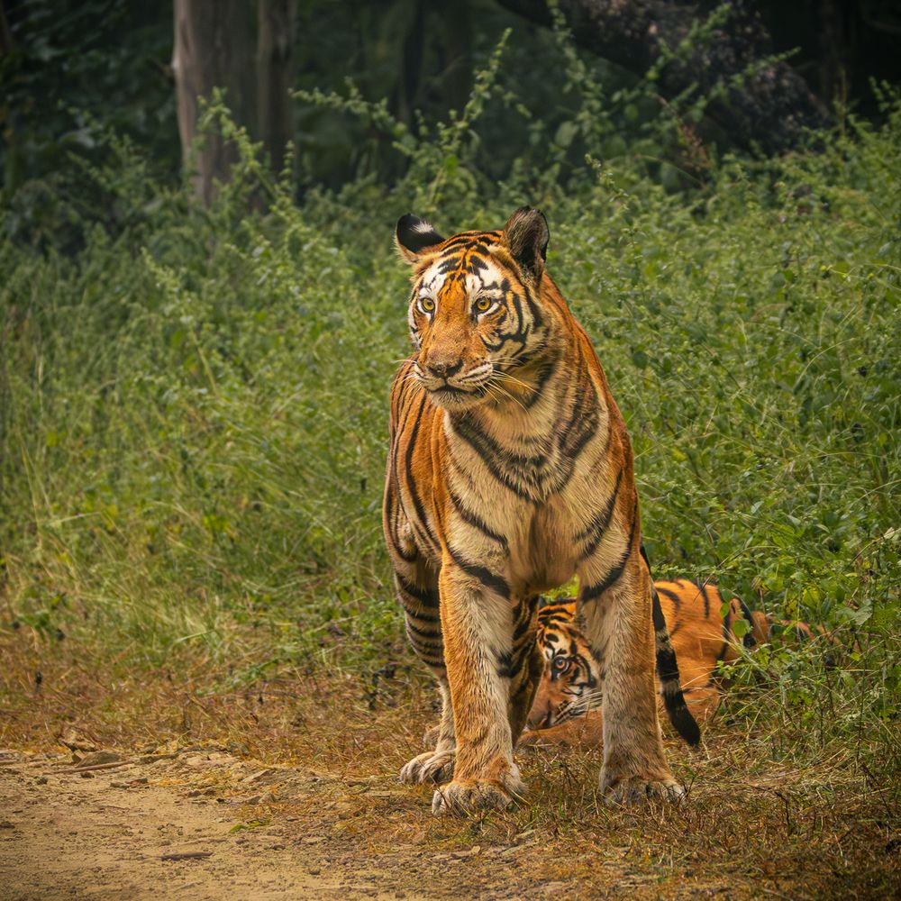 Photograph by MUKESH RAJAN S