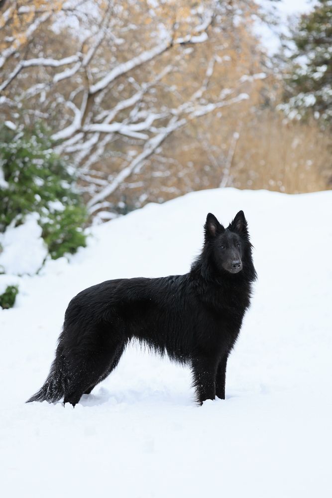 Photograph by Татьяна Кауфман