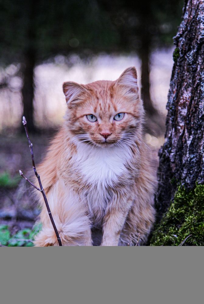Photograph by Денис