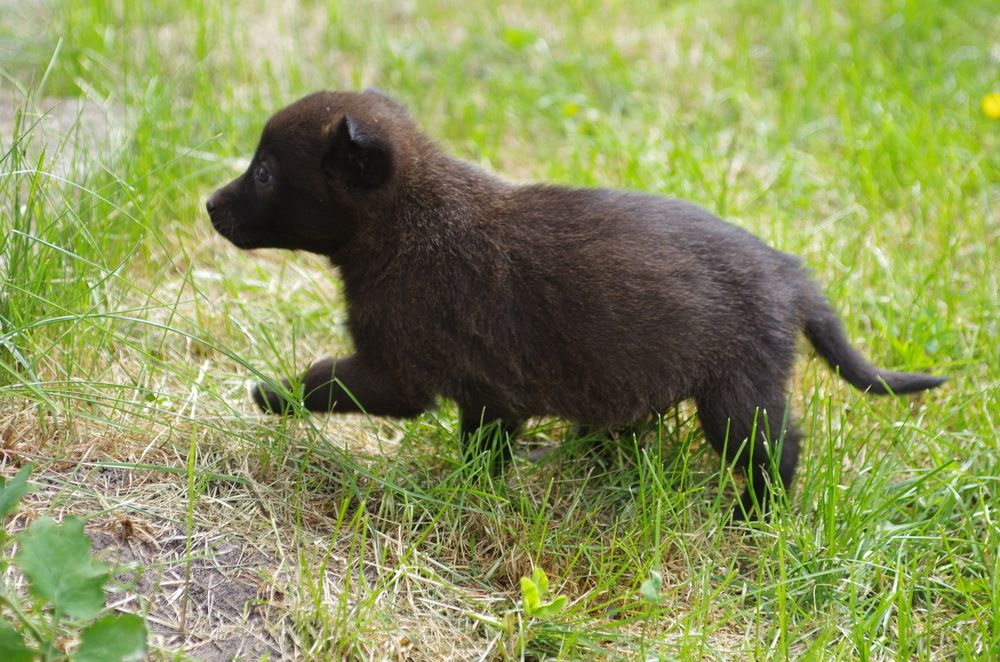 Photograph by Зарецкий Юрий