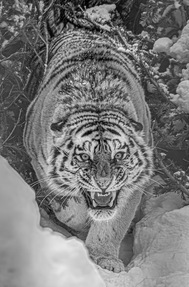 Photograph by Михаил Измайлов