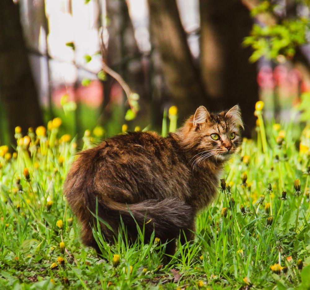 Photograph by Денис